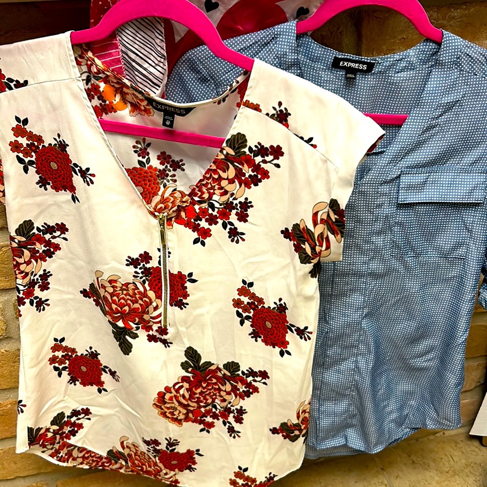 Express Blouse Bundle - image 1